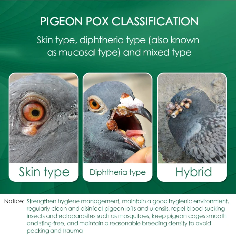 100 Tablets/Box Pigeon Pox Ora - Vitamin D3 Reptile ulasan dan harga