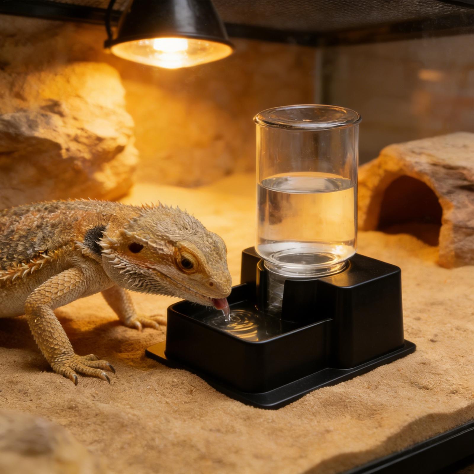 Bearded Dragon Water Fountain  - Water Dish Reptile ulasan dan harga