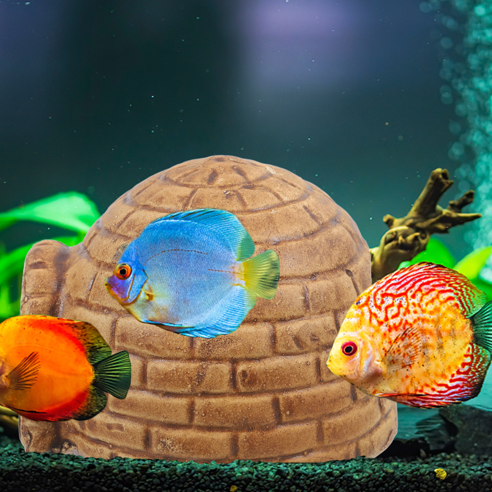Ceramic Pleco Caves for Aquari - Hide Cave Ceramic ulasan dan harga