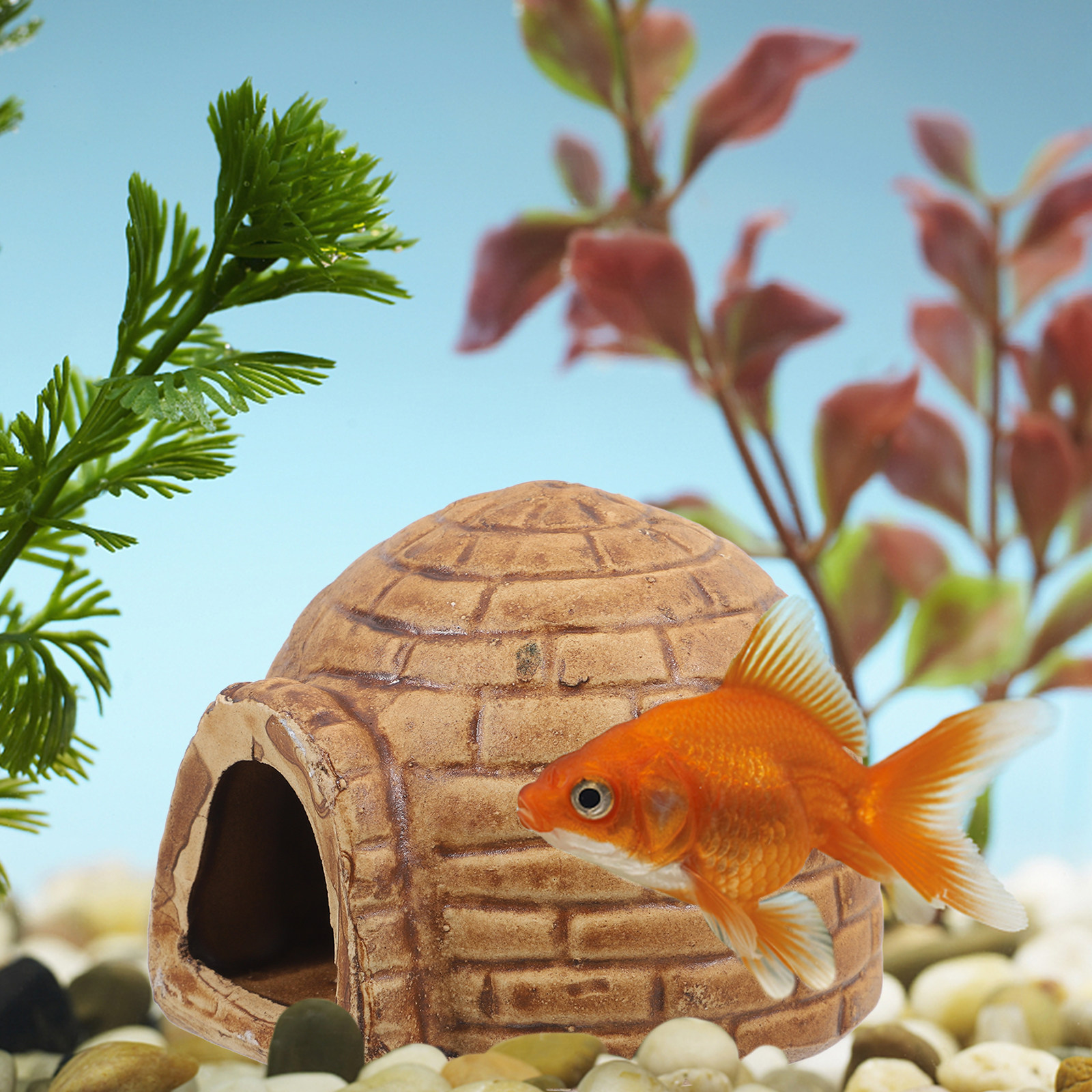 Ceramic Pleco Caves for Aquari - Hide Cave Ceramic ulasan dan harga