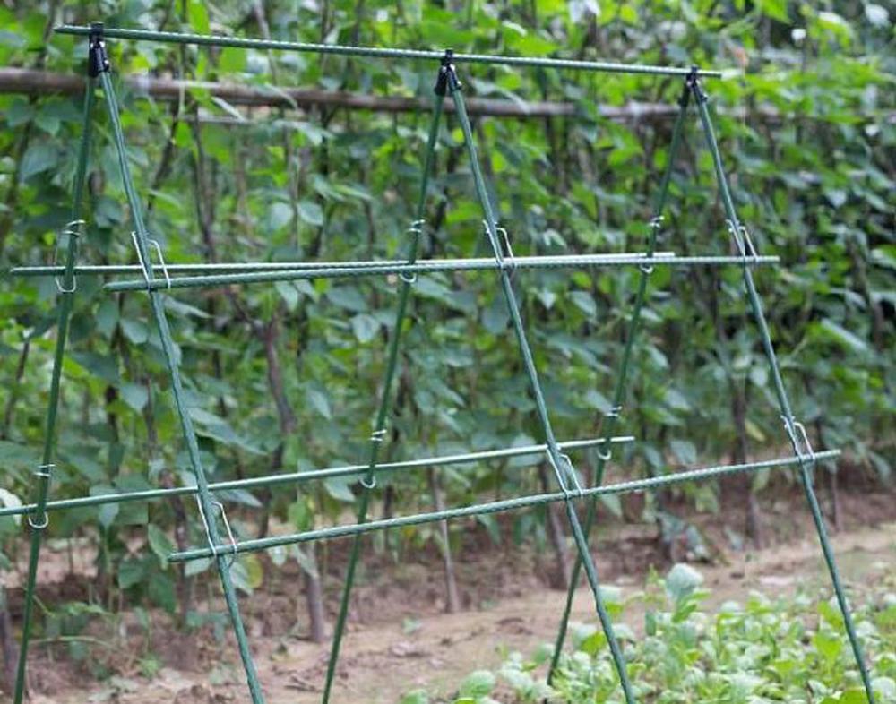 Diameter 8/11/16mm Plant Suppo - Vine Climbing Plastic ulasan dan harga