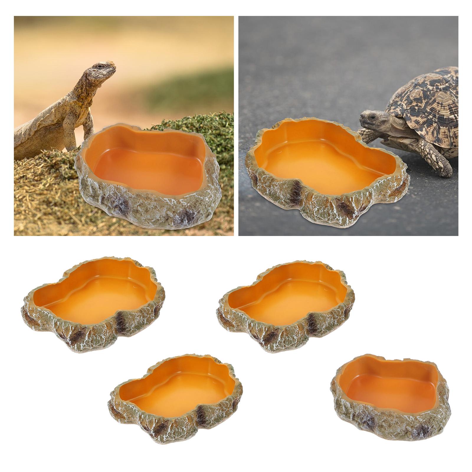 Reptile Water Bowls Decorative - Water Dish Reptile ulasan dan harga