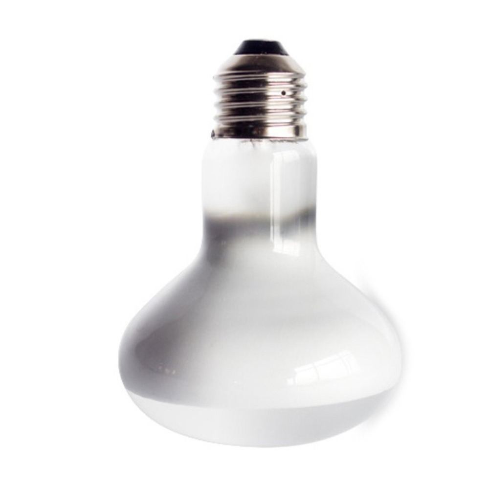 Turtle Temperature Controller  - Basking Bulb Halogen ulasan dan harga