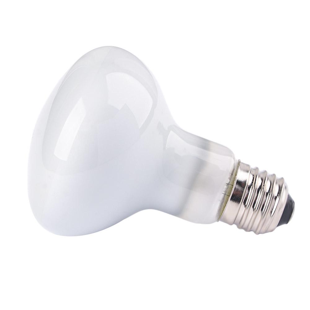 Turtle Temperature Controller  - Basking Bulb Halogen ulasan dan harga