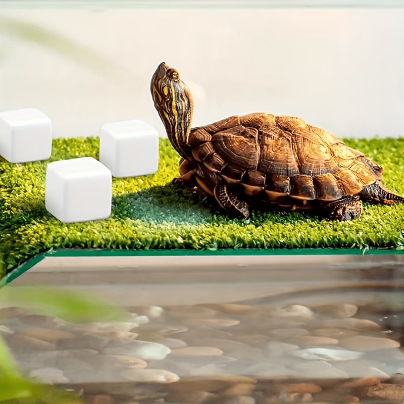 6 Pcs Fish Tank Calcium Block  - Calcium Powder Reptile ulasan dan harga