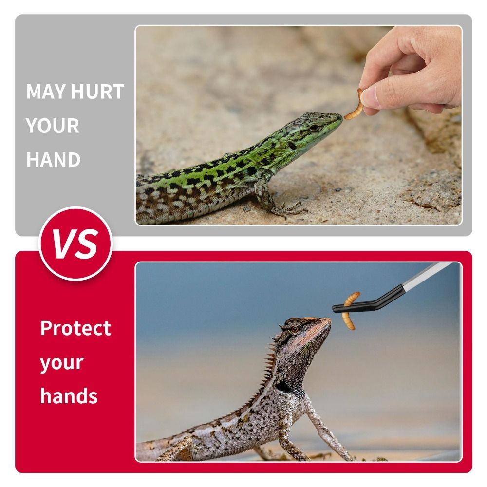 Stainless Steel Aquarium Feedi - Feeding Tong Stainless ulasan dan harga