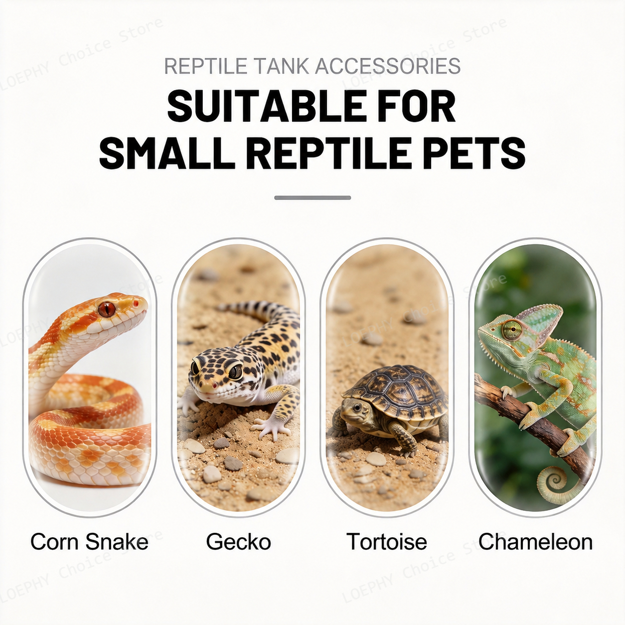 Castle Reptile Water Bowl Lion - Water Dish Reptile ulasan dan harga