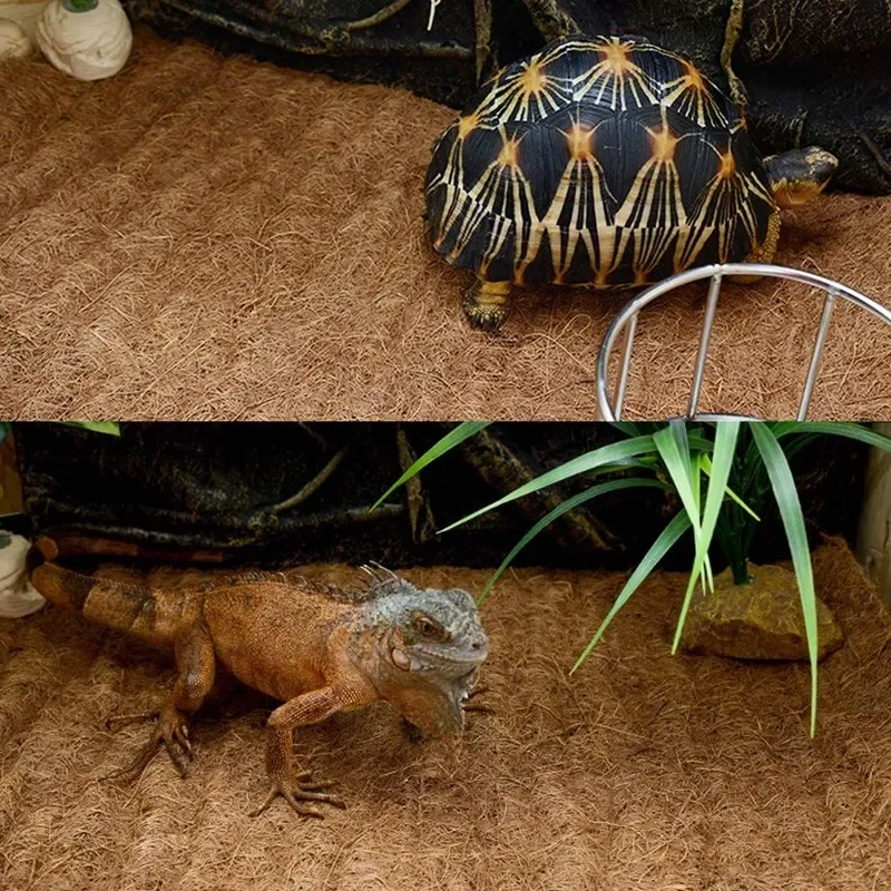 Reptile Carpet Natural Coconut - Substrate Coconut Fiber ulasan dan harga