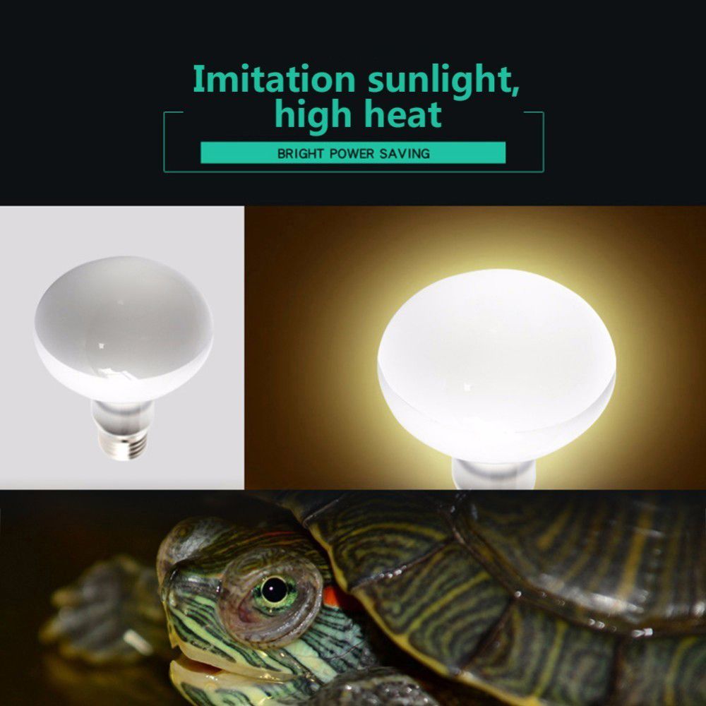 Amphibians Heat Lamp Temperatu - Basking Bulb Halogen ulasan dan harga