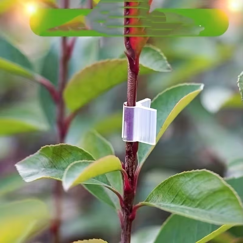 50pcs Agriculture Grafting Cli - Vine Climbing Plastic ulasan dan harga