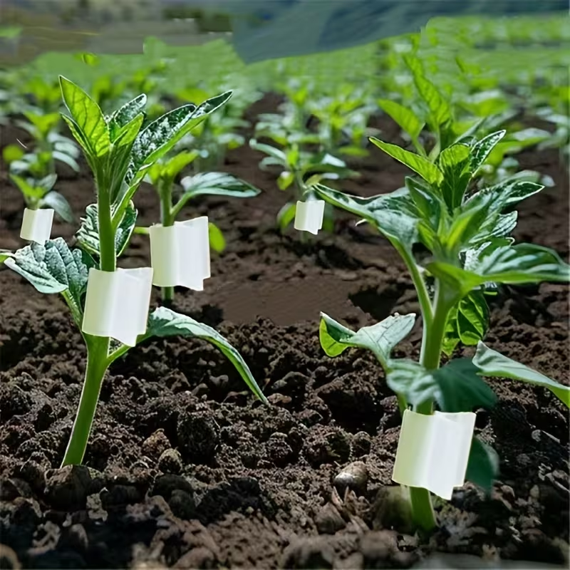 50pcs Agriculture Grafting Cli - Vine Climbing Plastic ulasan dan harga