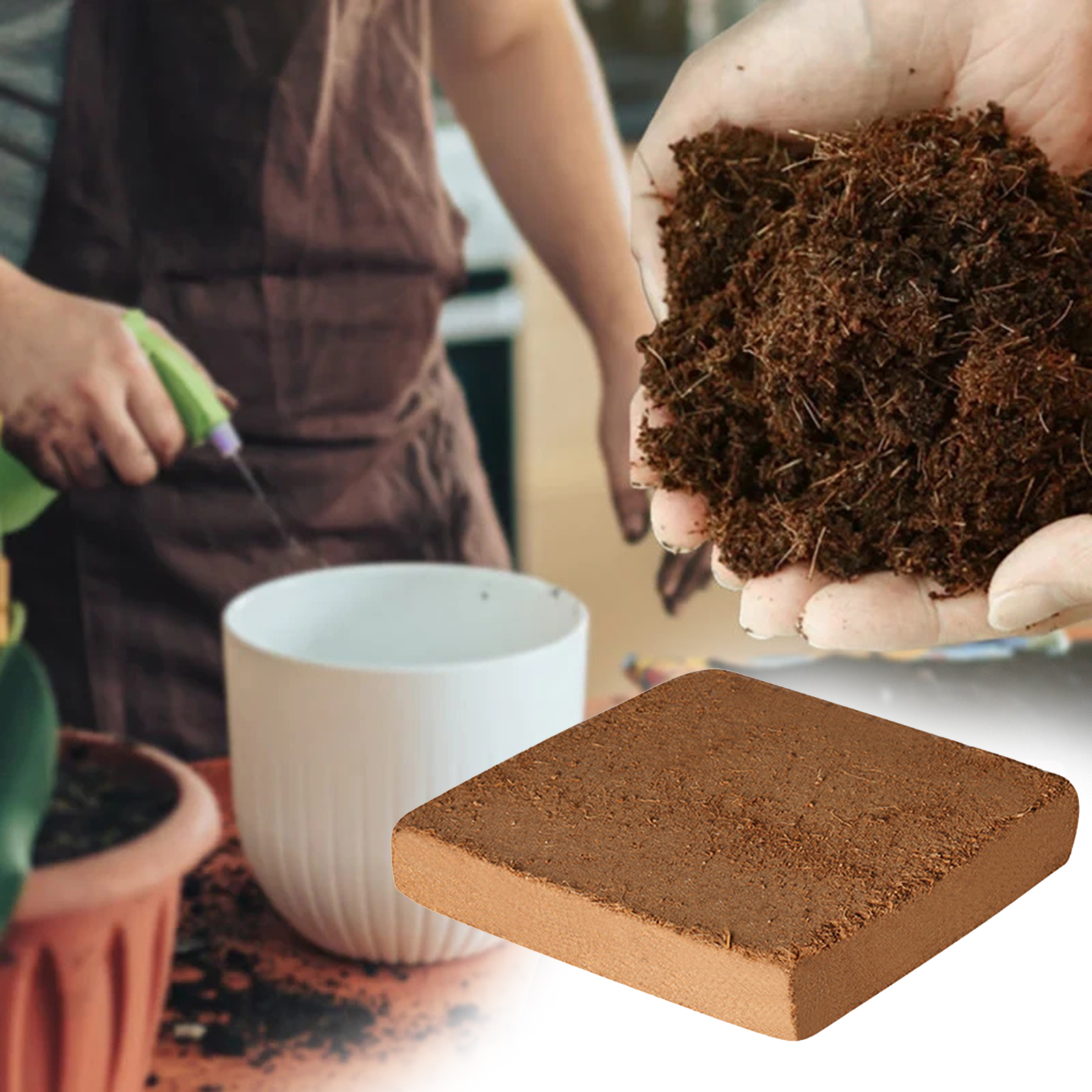 Soil Coconut Fibre Terrarium S - Substrate Coconut Fiber ulasan dan harga