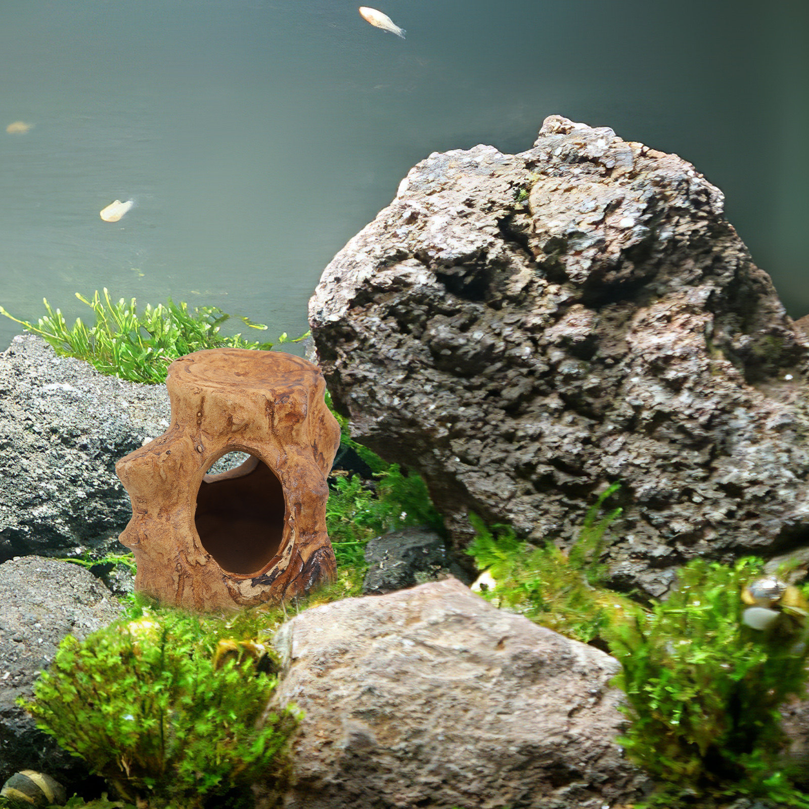 Premium Ceramic Aquarium Caves - Hide Cave Ceramic ulasan dan harga