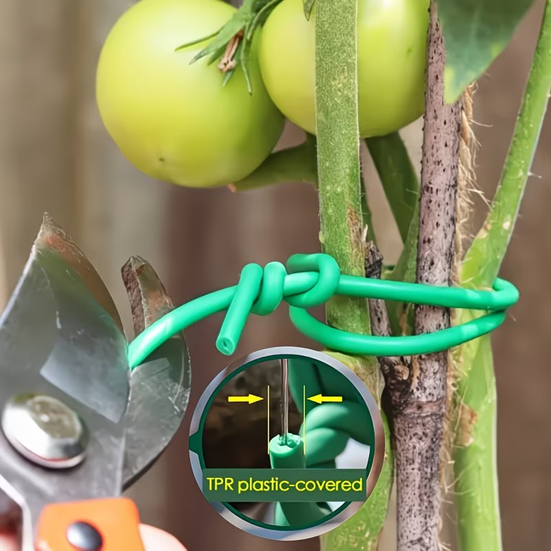 1Roll Heavy-Duty Garden Cable  - Vine Climbing Plastic ulasan dan harga