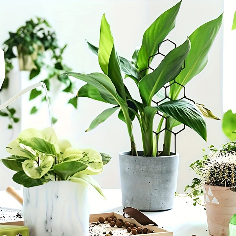 1PC Honeycomb Design Plant Tre - Vine Climbing Plastic ulasan dan harga