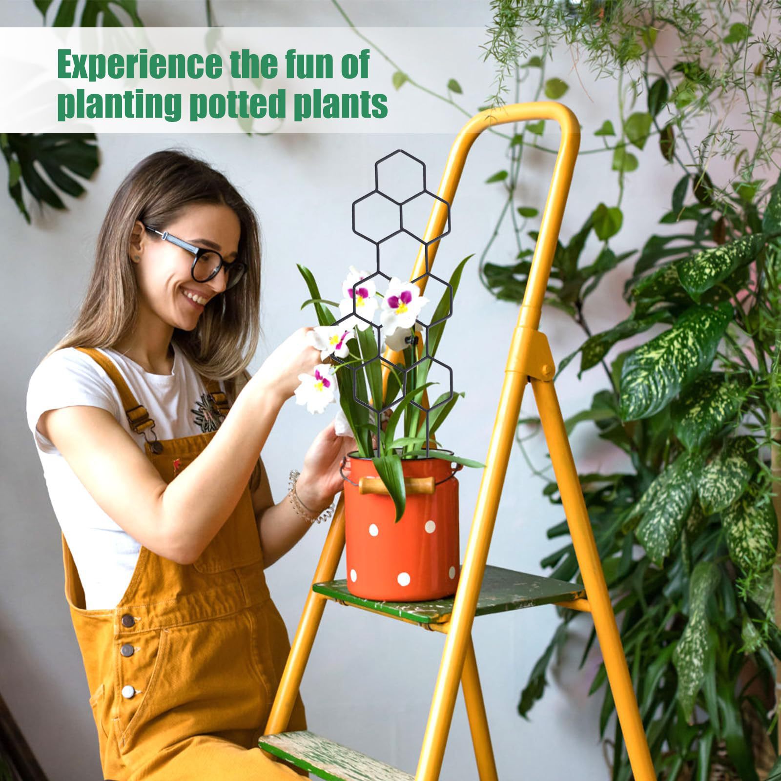 1PC Honeycomb Design Plant Tre - Vine Climbing Plastic ulasan dan harga