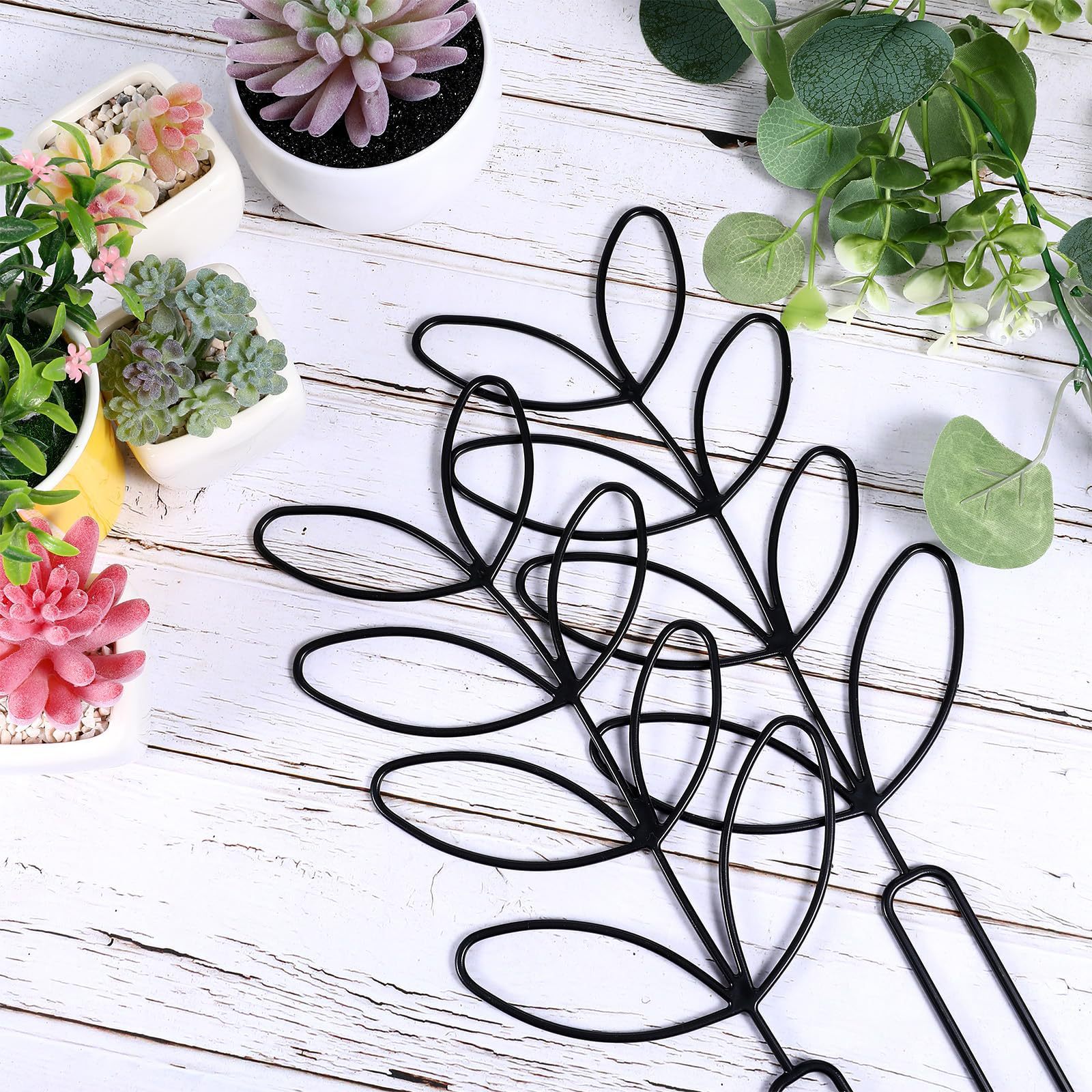1PC Honeycomb Design Plant Tre - Vine Climbing Plastic ulasan dan harga