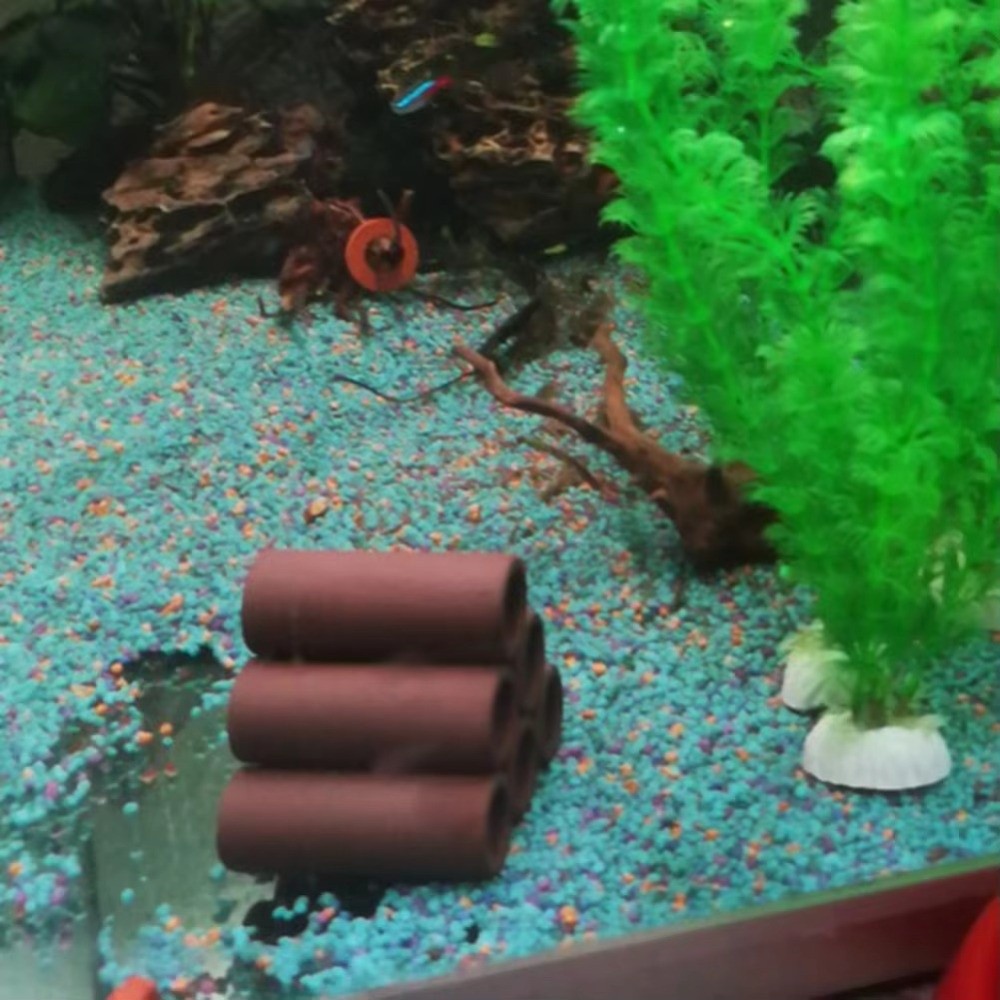 Playing Breeding Spawning Aqua - Hide Cave Ceramic ulasan dan harga