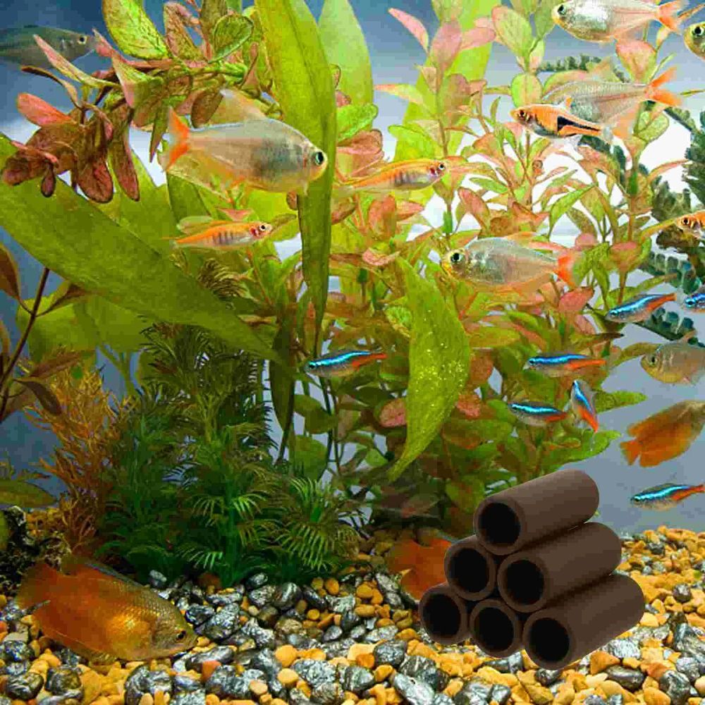 Playing Breeding Spawning Aqua - Hide Cave Ceramic ulasan dan harga