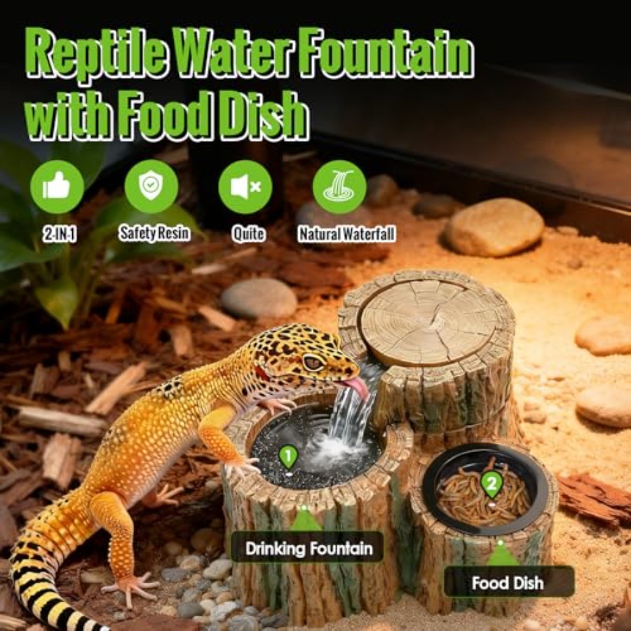 2 in 1 Reptile Water Fountain  - Water Dish Reptile ulasan dan harga