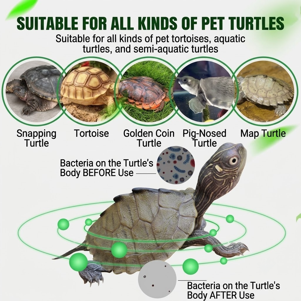MIRAVEXL Aquatic Turtle Care S - Water Dish Reptile ulasan dan harga