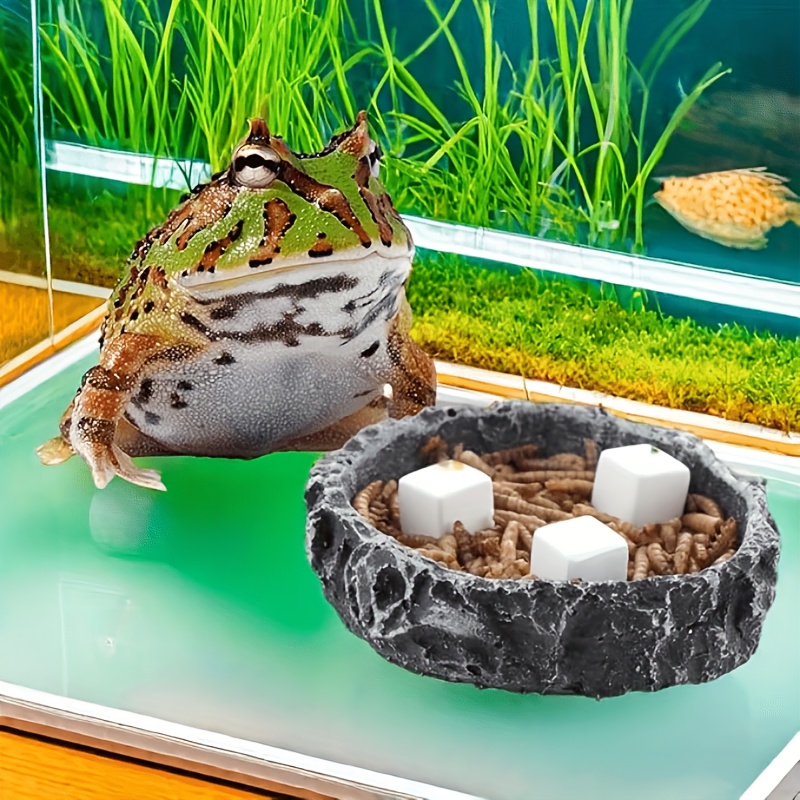 6 Pcs Fish Tank Calcium Block  - Calcium Powder Reptile ulasan dan harga