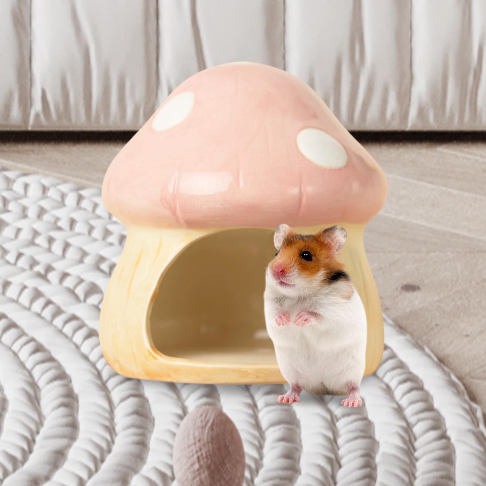 Ceramic Mushroom Hamster Hideo - Hide Cave Ceramic ulasan dan harga