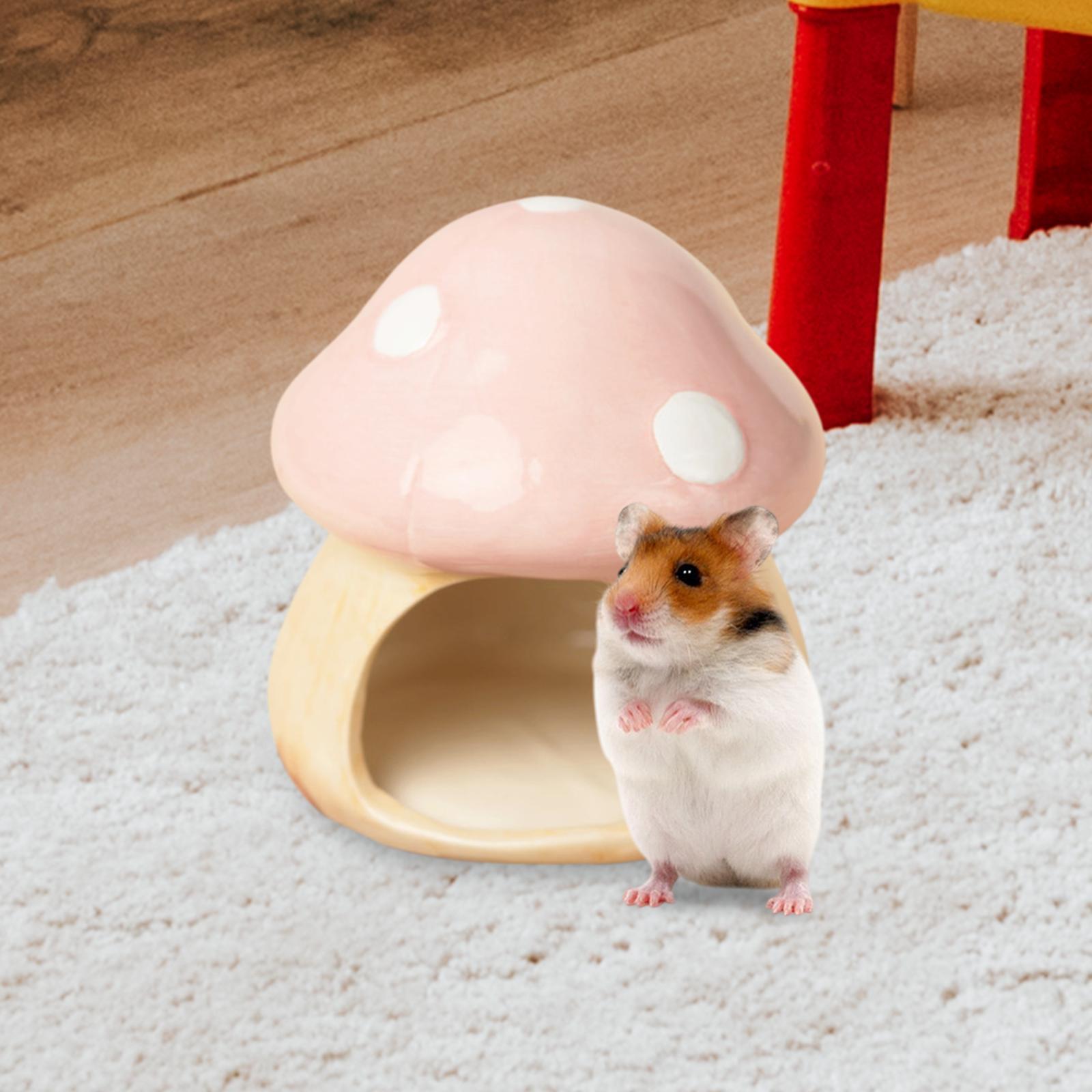 Ceramic Mushroom Hamster Hideo - Hide Cave Ceramic ulasan dan harga