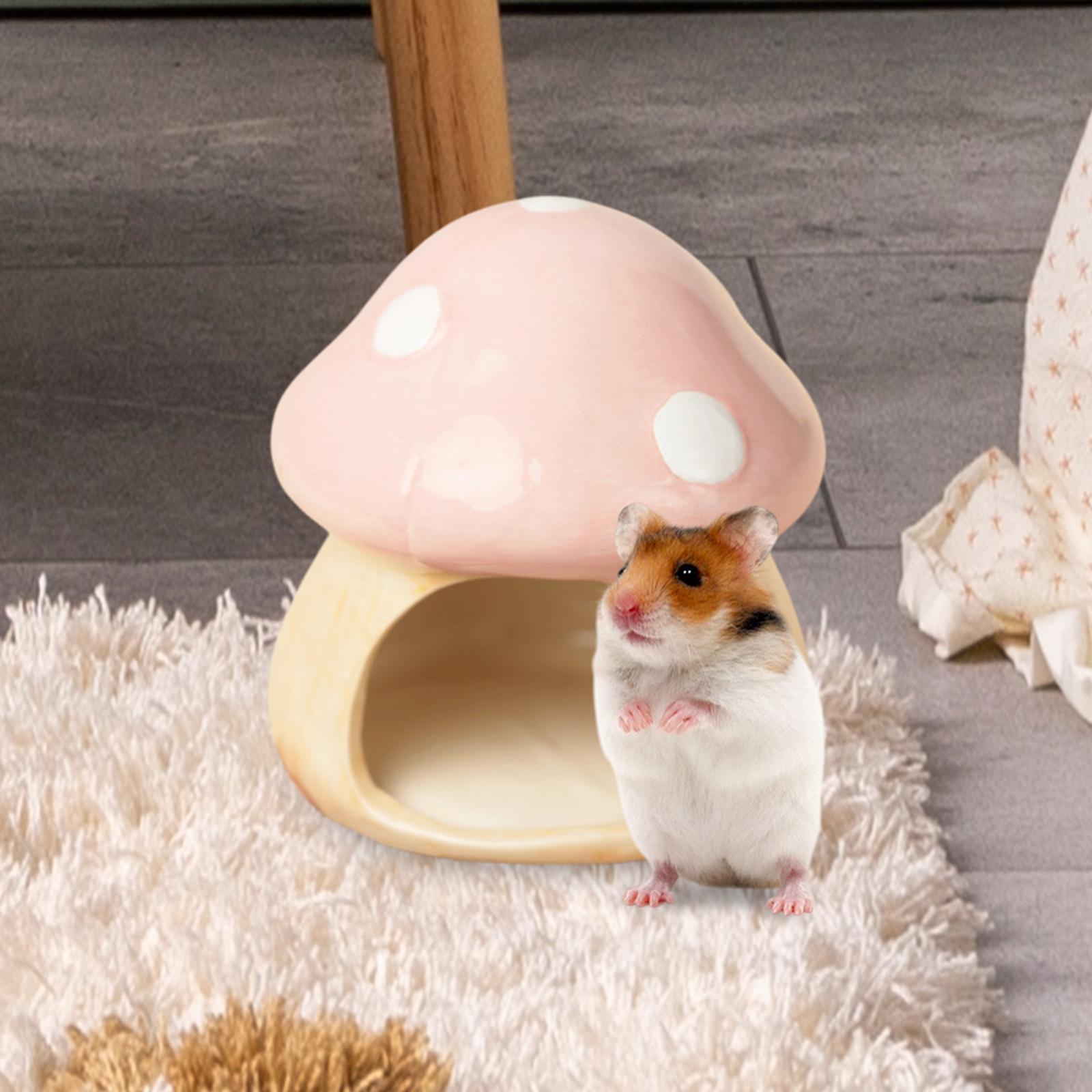 Ceramic Mushroom Hamster Hideo - Hide Cave Ceramic ulasan dan harga