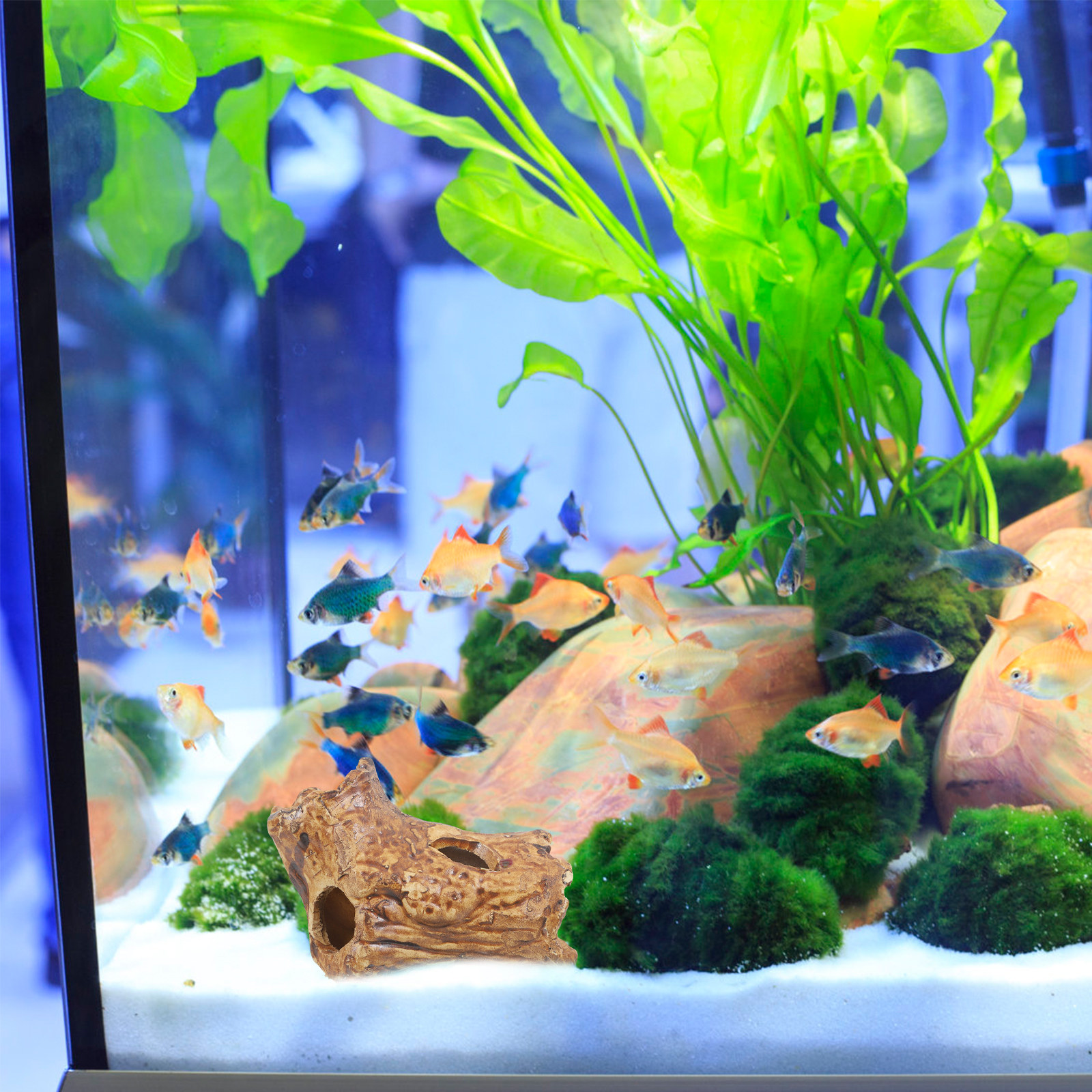 Shrimp Cave Fish Tank Decorati - Hide Cave Ceramic ulasan dan harga